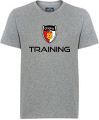 Poly/Cotton Academy Practice Tee - Grey 