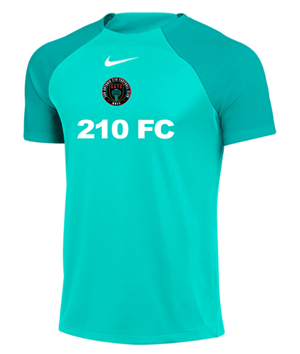 210 FC NIKE ACADEMY PRO TOP - TURQUOISE Image