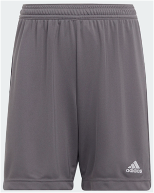 Practice Short - Grey Image
