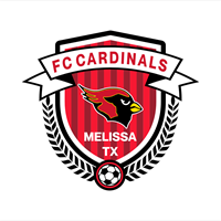 Car Decal