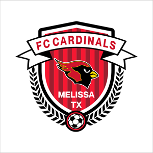 Car Decal Image