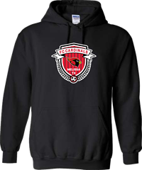 Gildan Black Hoodie