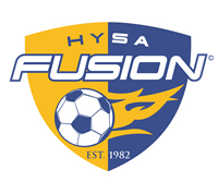 Fusion Car Decal