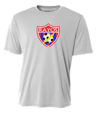 Dri-Fit Tee - Silver