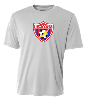 Dri-Fit Tee - Silver Image