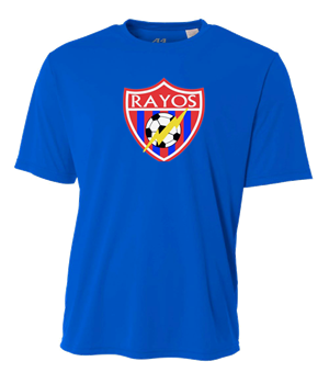 Dri-Fit Tee - Royal Image