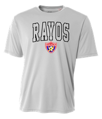 Dri-Fit Tee - Silver