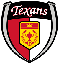 TEXANS DECAL