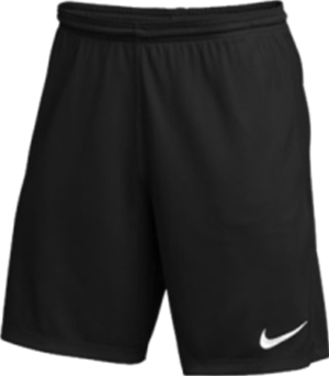 Nike Practice Short - Black Image